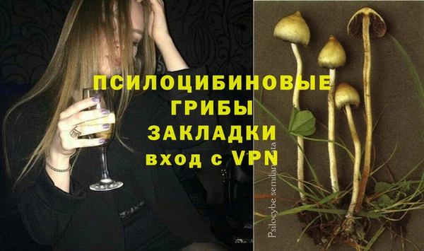 мдпв Абинск