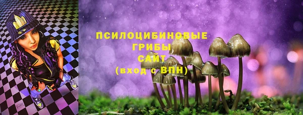 мдпв Абинск