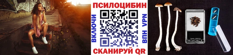 Псилоцибиновые грибы Psilocybe  Сочи 